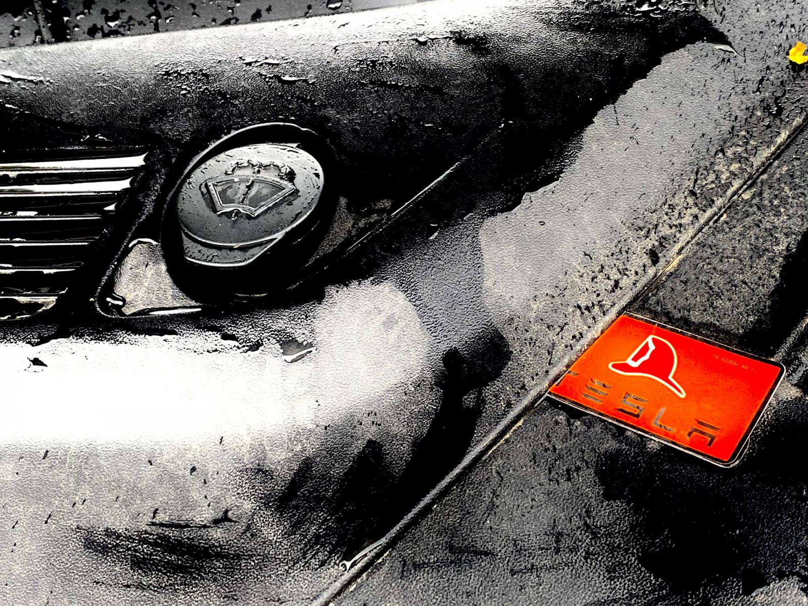 EV-Team Elitecar Alkmaar